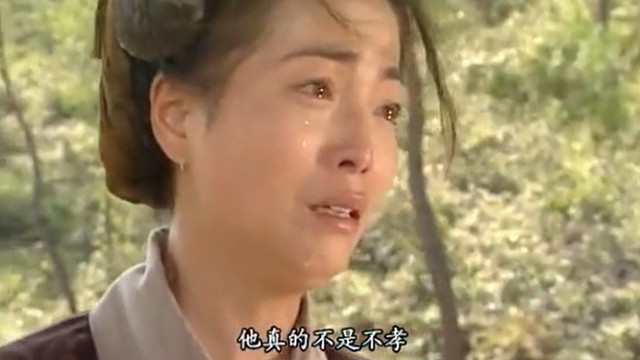 苑琼丹|港剧里的妈妈，“骗”了观众多少眼泪？