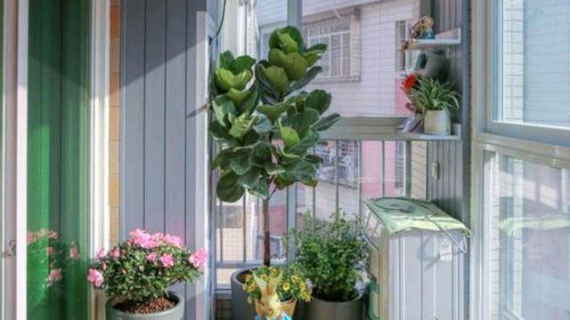 “阳台三不放，避免家兴旺”，到底阳台上什么不能摆放？