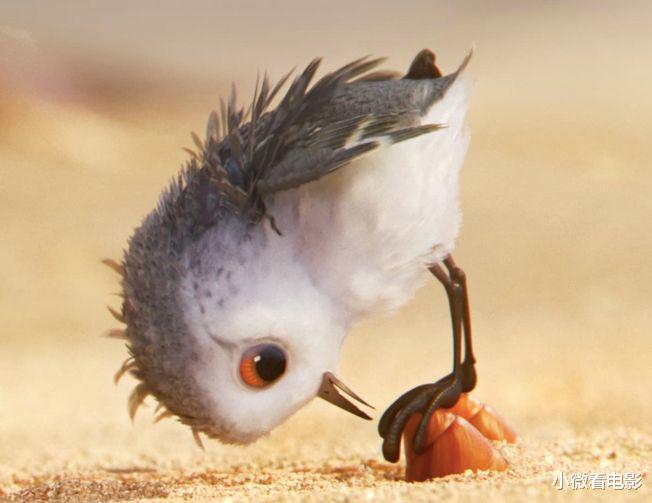 acgn漫评|耐人寻味的6部动漫小短片，每部都值得细细品味