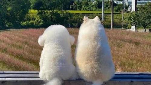 沙雕|受||闷骚腹黑影帝X明骚沙雕谐主星《最红谐星》沙雕娱乐圈文