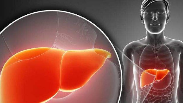 蛋白质|中医：自查“肝”好不好，这5点为主要