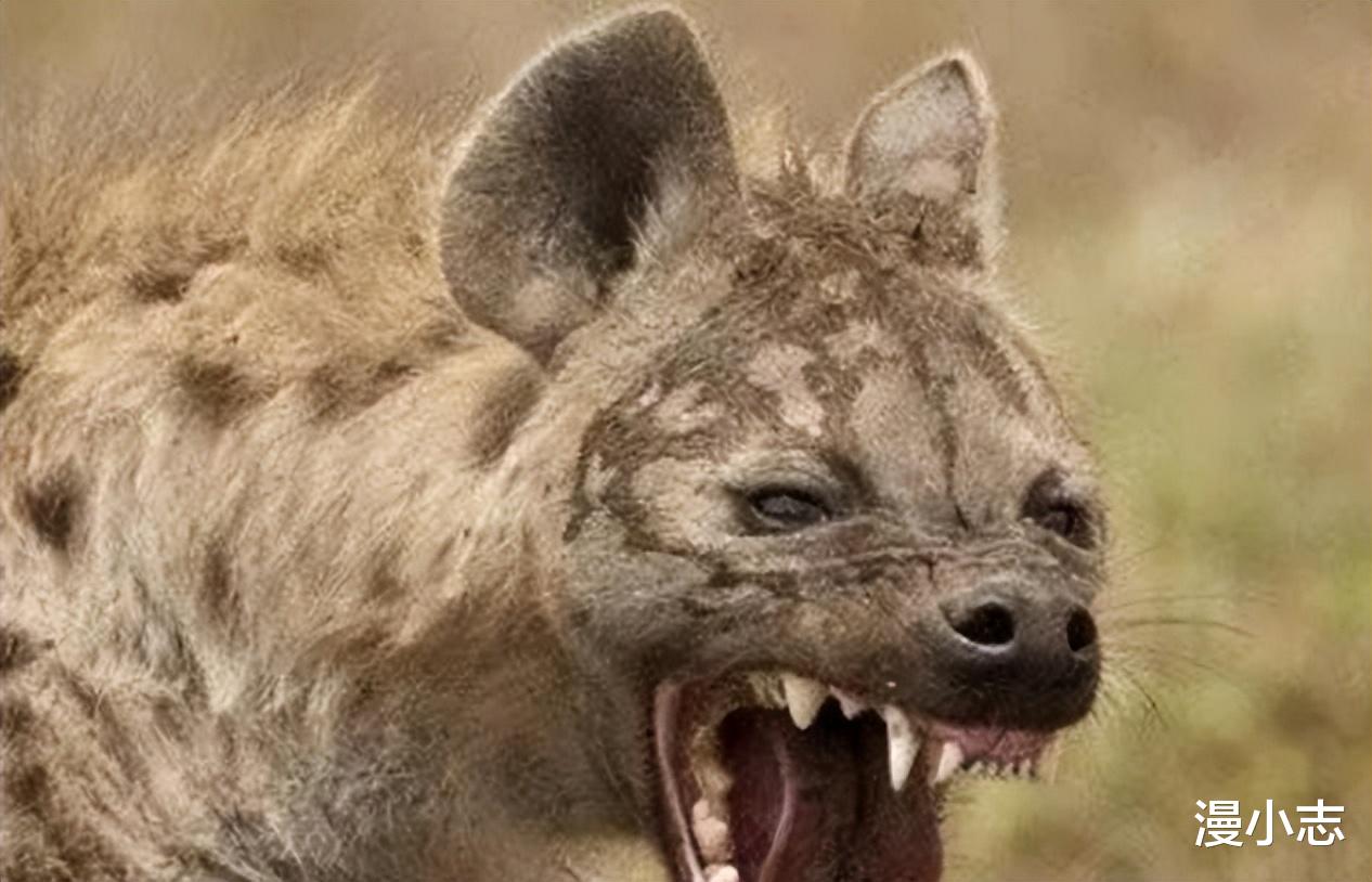 龙族|抄袭还是借鉴？《龙族》动画撞车《x战警》，场面异常雷同