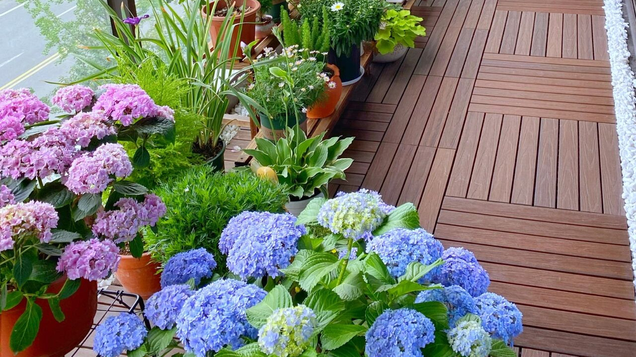 没有院子，阳台有吧？把自家小阳台改造一番，也能变成美美的花园