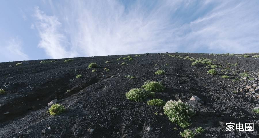 |线上线下渠道都在跌家电业怎么搞？