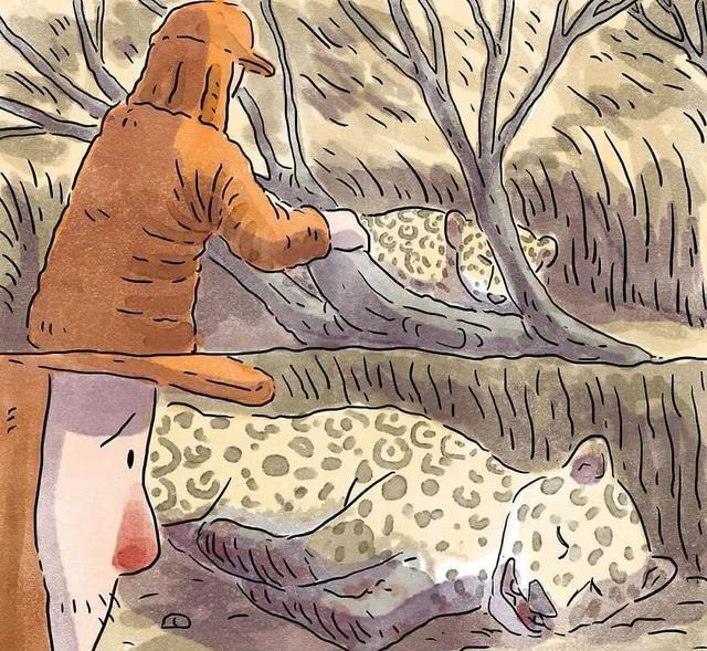 蟒蛇|这2组漫画故事,没有一个字,却能触动我们内心最柔软的地方