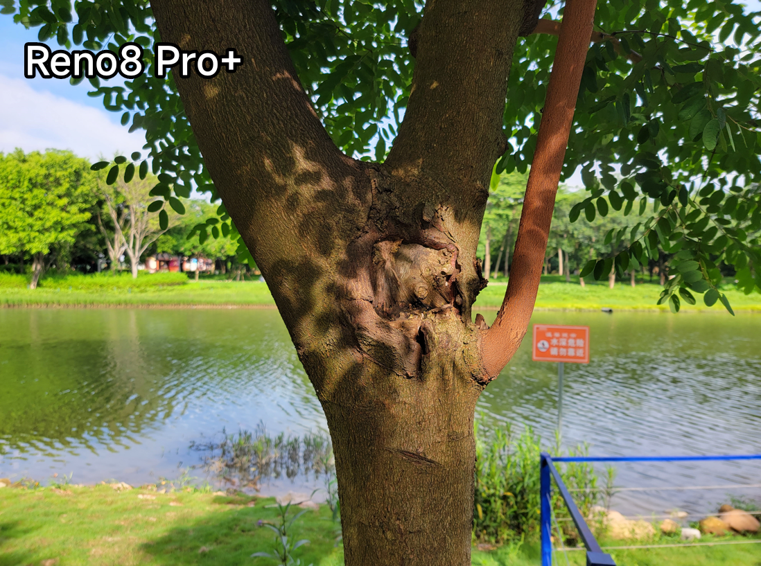 浏览器|样张见分晓,没有一颗镜头在凑数