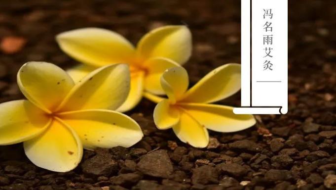 血糖|血糖：这个穴位稳血糖、清血脂，好处非常多！