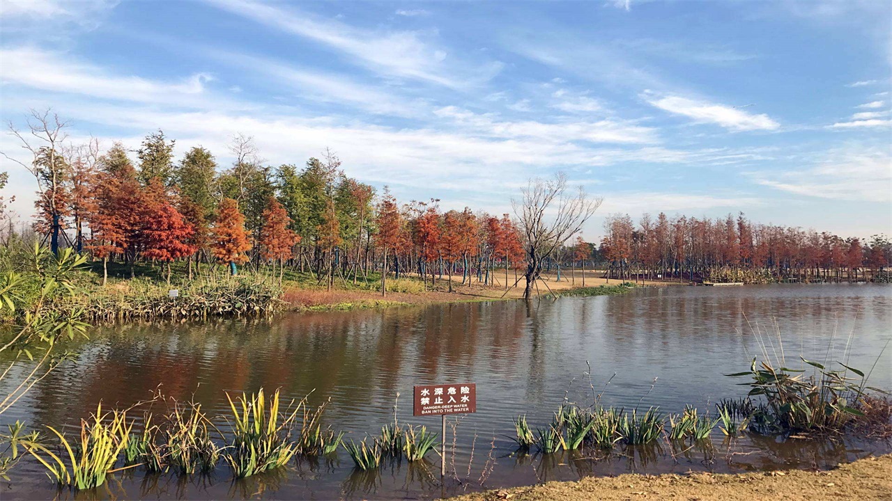 日出|上海将新建一座公园，面积60.42平方公里，魔都又多了一处新景点