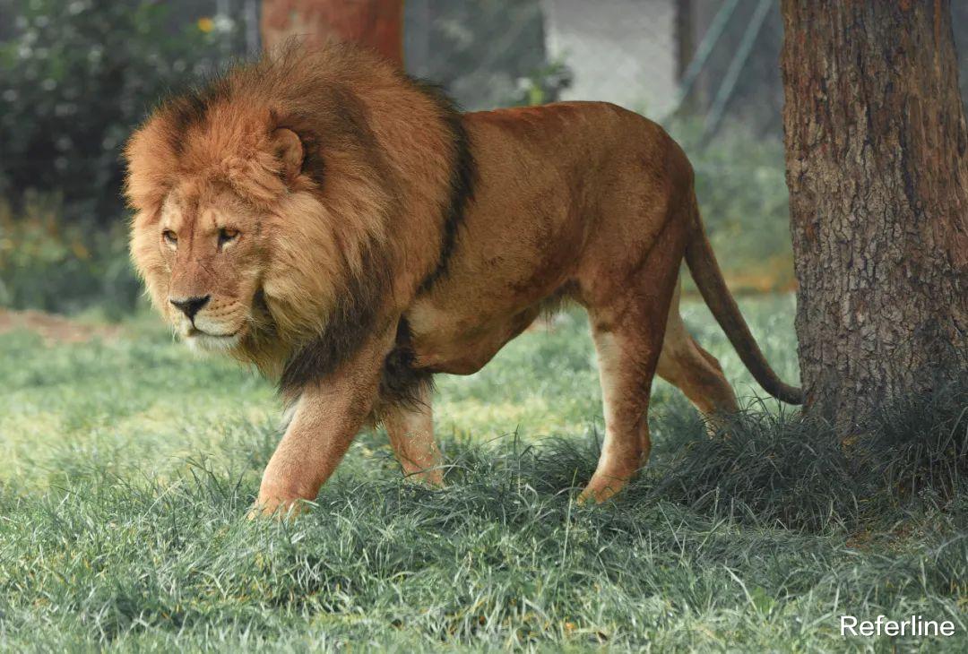 Mac OS|回顾 macOS 后：我很想去旅游