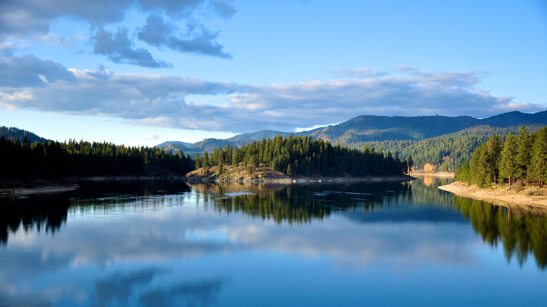IT之家|好的艺术家复制，伟大的艺术家偷窃