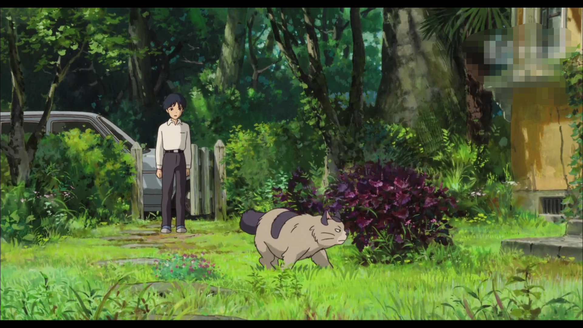 acgn漫评|《借东西的小矮人亚莉亚蒂》是一部释放忙碌心情的动漫你一定喜欢