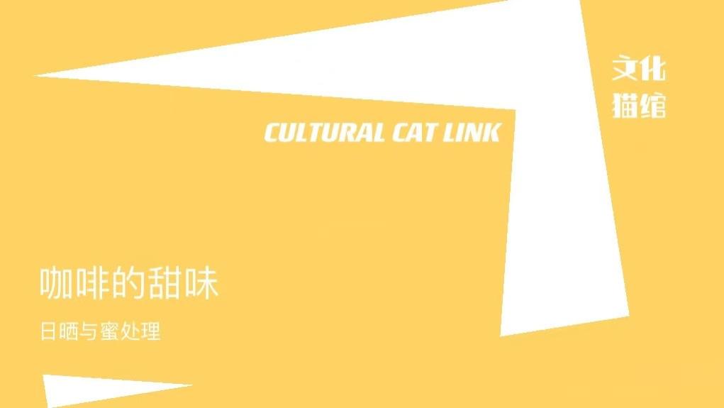 咖啡|观雪与甜韵丨咖啡的甜从哪来