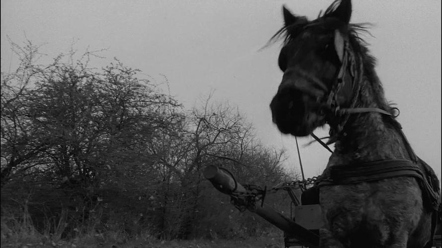 《都灵之马》：一部和尼采有关，但整部片子没有尼采出现的电影。