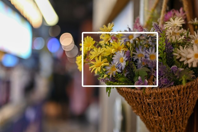 尼康|万元价的全幅微单,尼康Z6 ii,老法师觉得如何?