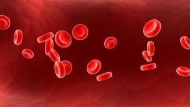 痛风|痛风可以放血治疗吗？痛风治疗三部曲，治疗效果翻倍