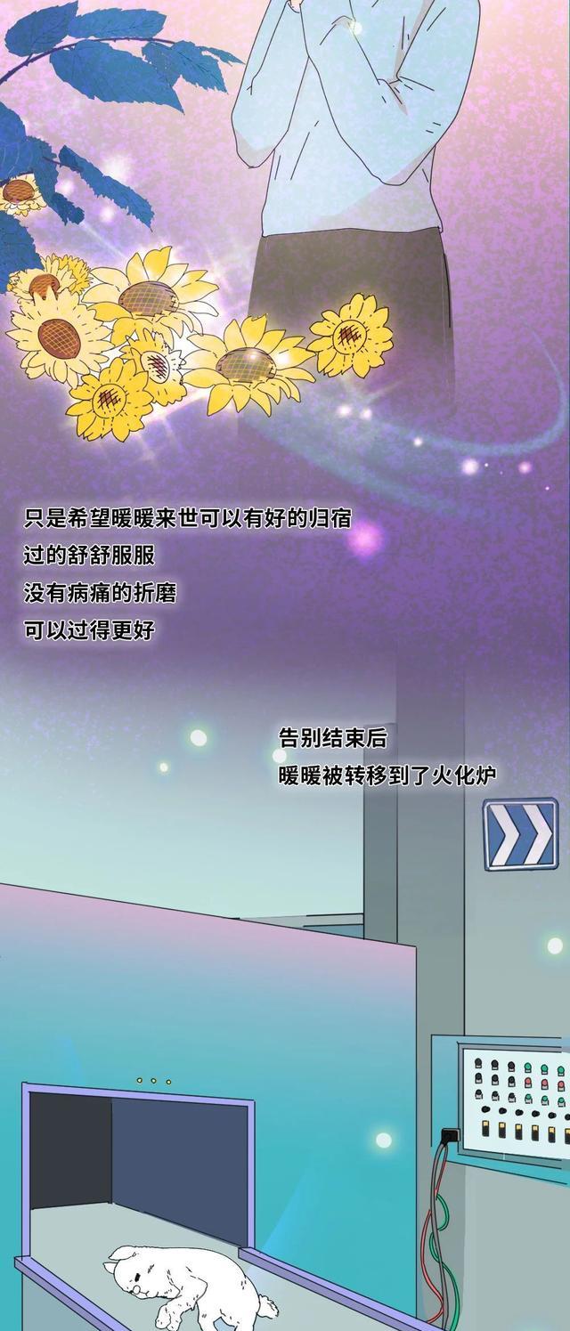 acgn漫评|“它爱了我5年,却被我亲手杀死了!”(漫画)结局感动了一群人