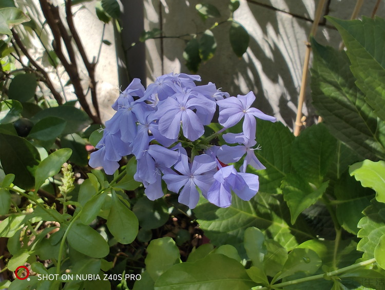 努比亚|足够好玩的直屏影像旗舰:努比亚Z40S Pro首发评测