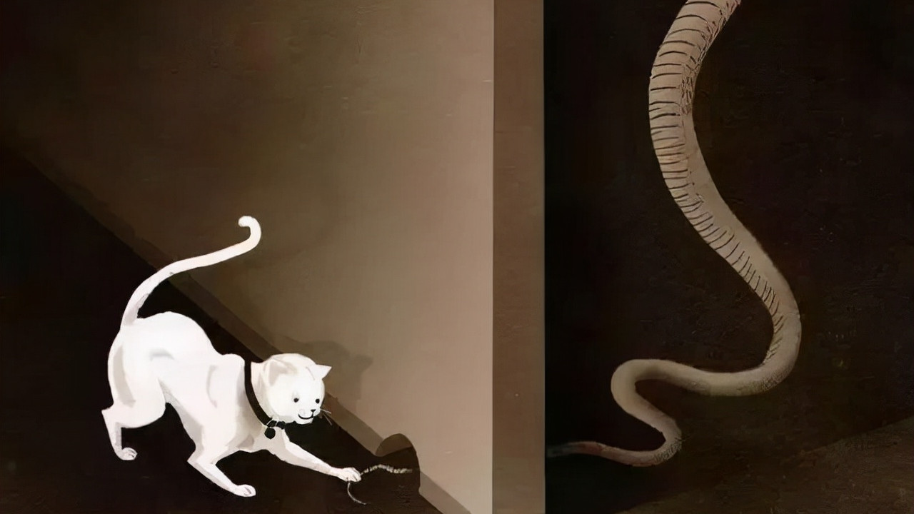 金庸|不要得罪说相声的？不，任何“专业人士”可能你都得罪不起