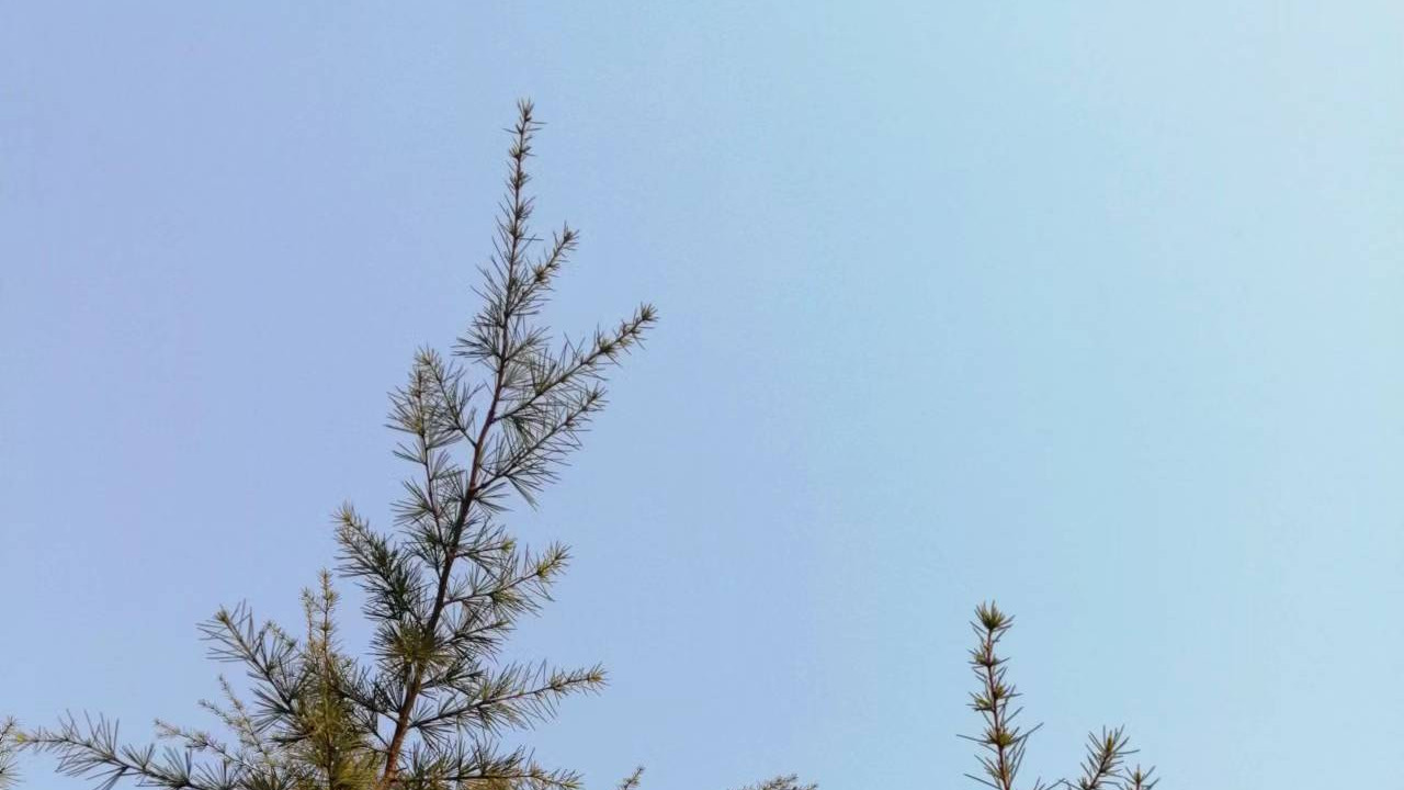 运动|错误饮水致喘、哕