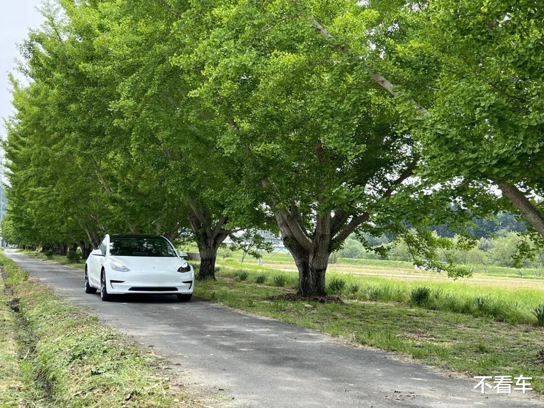 特斯拉|特斯拉将于本周推送FSD 10.12，6月扩大测试范围