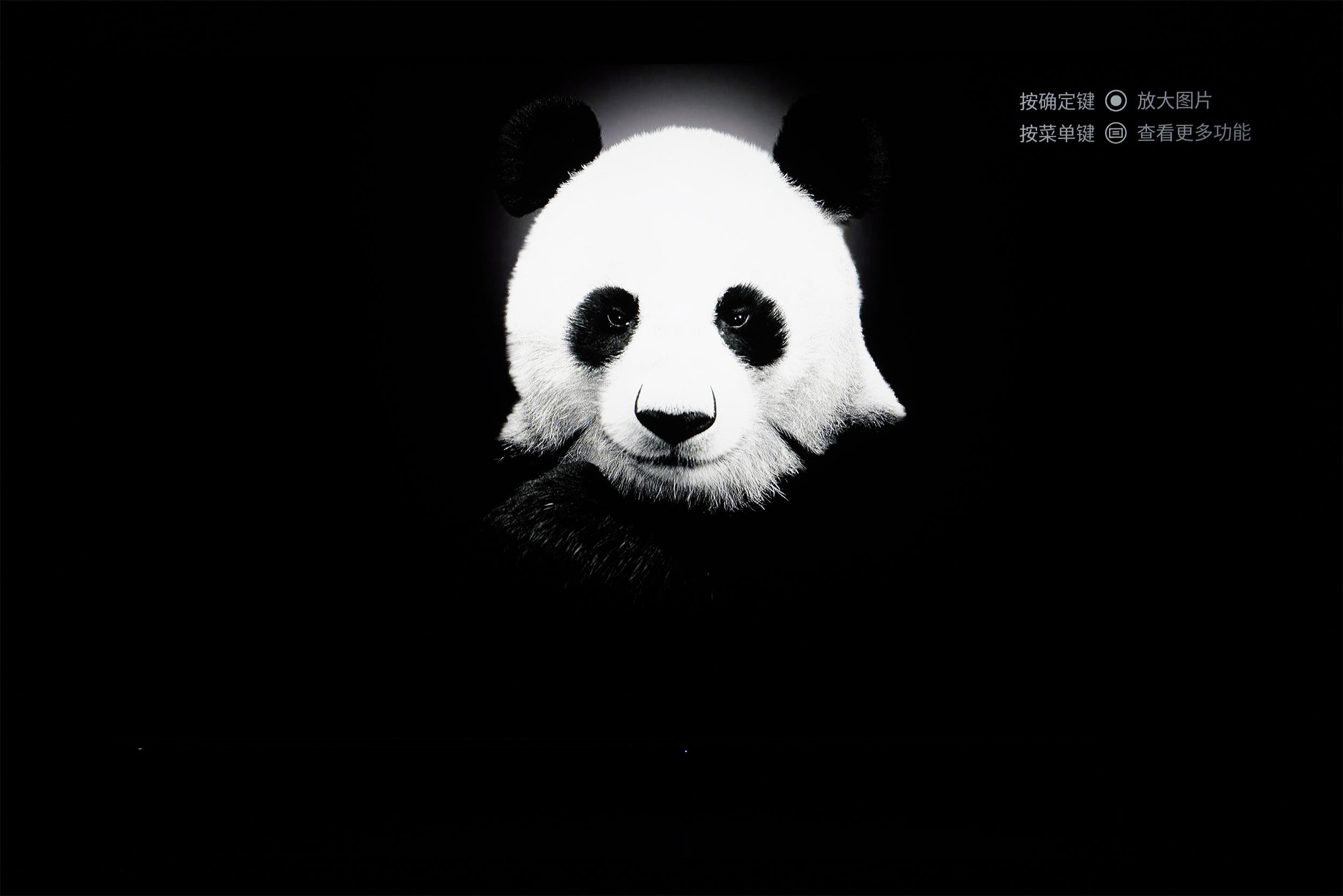 |家庭的快乐中继站——海信原画旗舰电视E5H体验分享