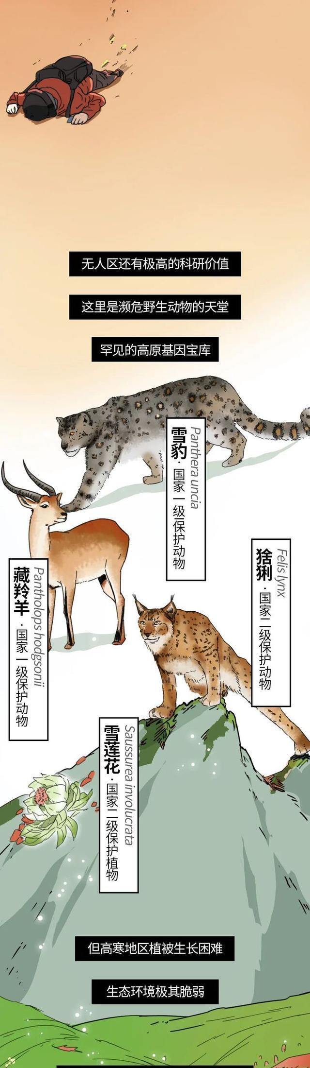 acgn漫评|为什么不能在“无人区”过夜？一组漫画带你探秘，别拿生命开玩笑