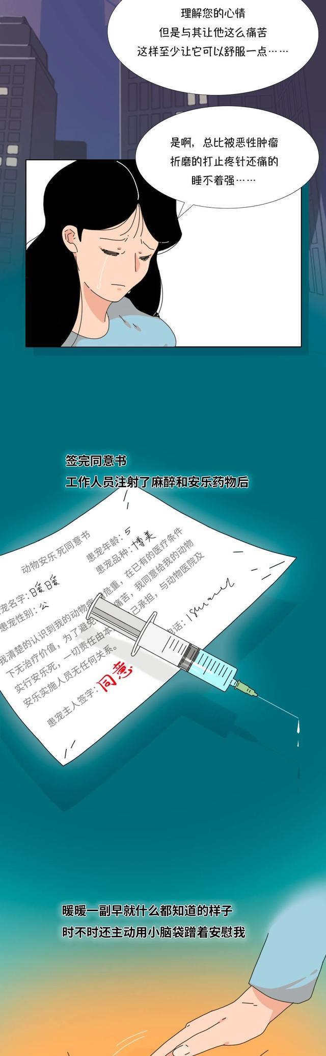 acgn漫评|“它爱了我5年,却被我亲手杀死了!”(漫画)结局感动了一群人