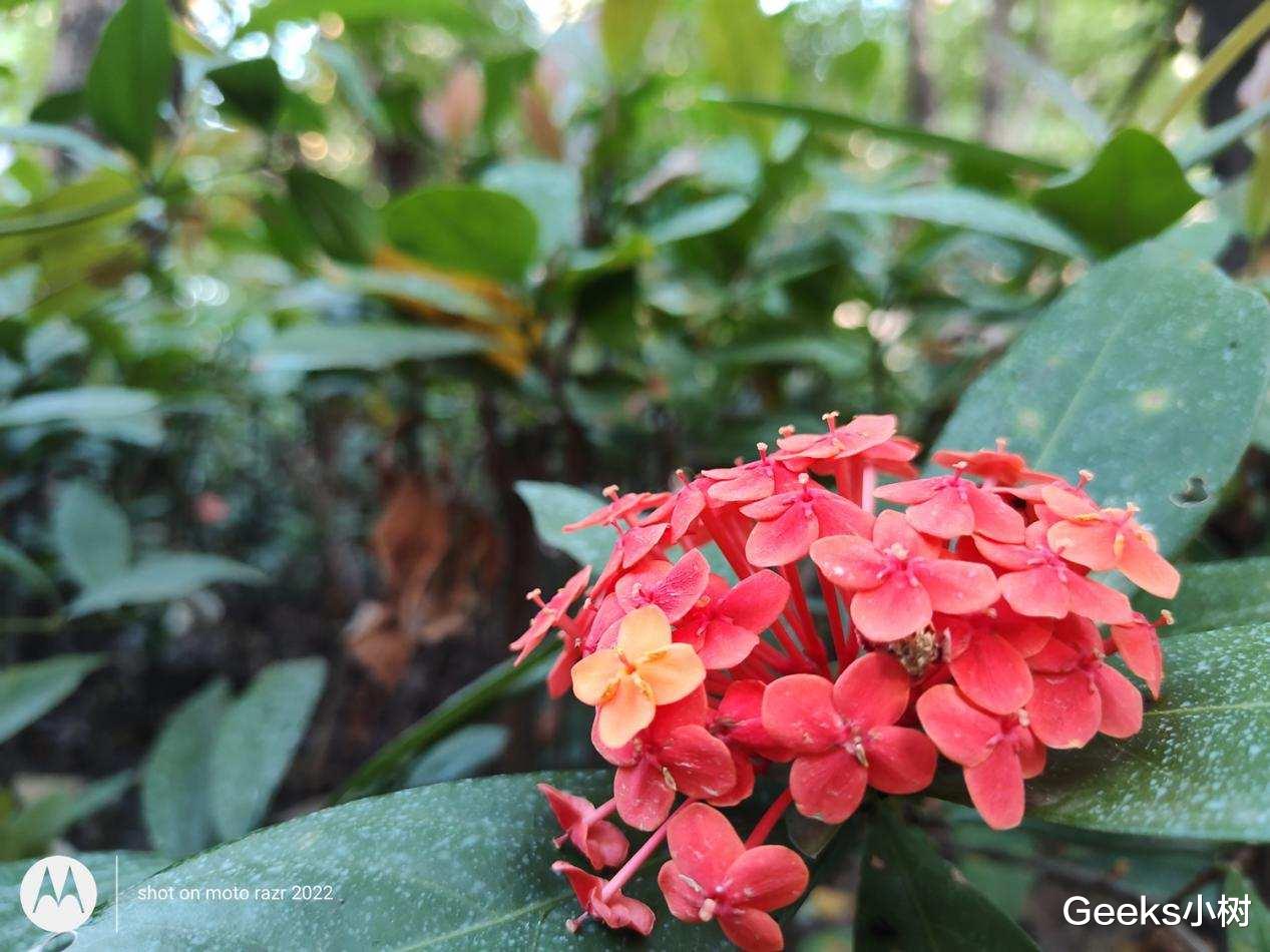 摩托罗拉|moto razr 2022折叠屏手机好用不?体验数周,这几点有必要告诉你