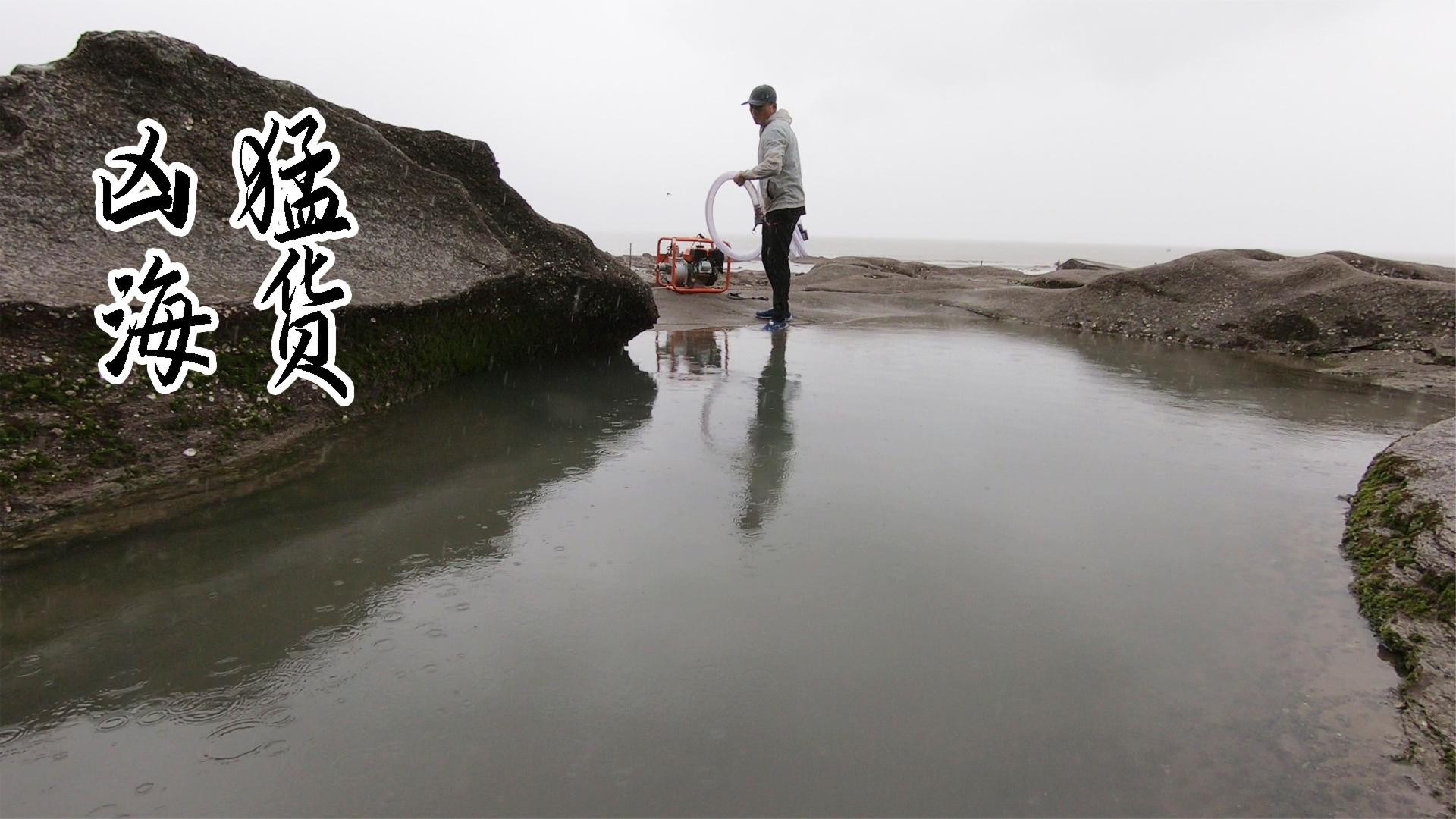 冒雨抽十几米长海峡沟，遇到凶猛海货越抓越它越挣扎，太厉害了