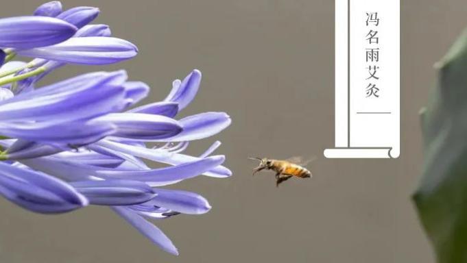 疾病|节气：端午节五毒皆出，抗毒的首选食物和穴位