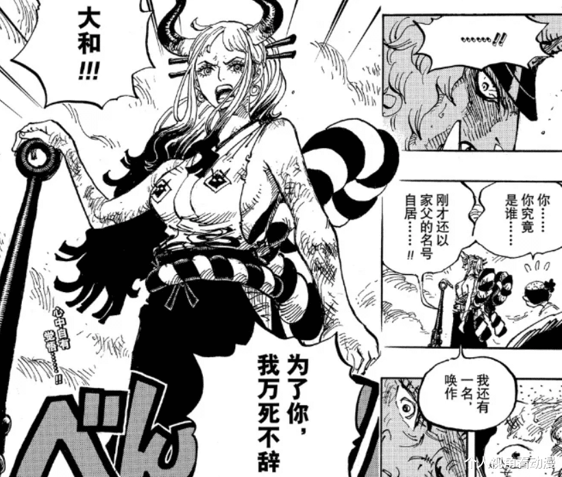 海贼王|海贼王:同样是大胸美女,为什么大和上船会引发粉丝之间的争议?