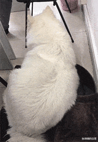 |“三大运营商都确认过了，说不是他们的线，”人是早上走得很安详