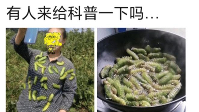 |“这玩意也能吃吗？有谁来给科普一下...”哈哈哈艺高人胆大