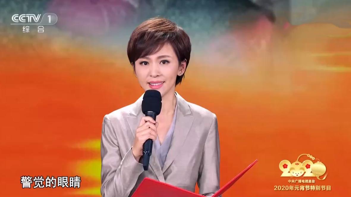 主持人|央视主持人名单更新，主持人出现调整，农业频道人数增加至4人