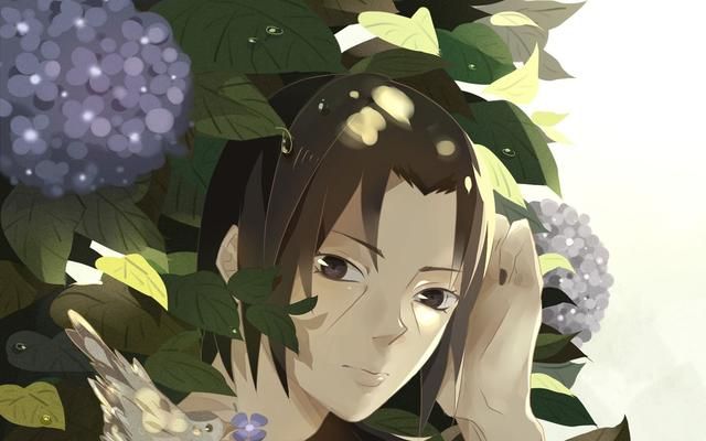 火影忍者|火影忍者：鼬的实力究竟如何？观众：我再也无法忍受鼬吹了！