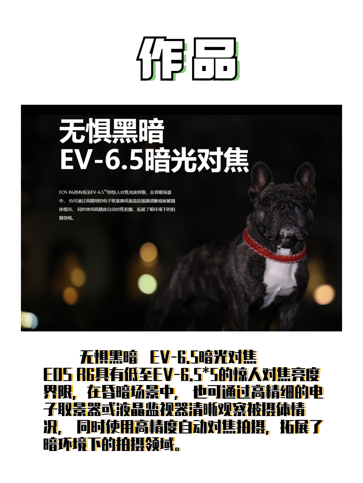 相机|每天一款相机知识——EOS R6