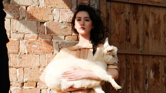 刘诗诗|刘诗诗真会选场所，羊圈穿裙抱羊羔拍广告太聪明，选对场所美三分