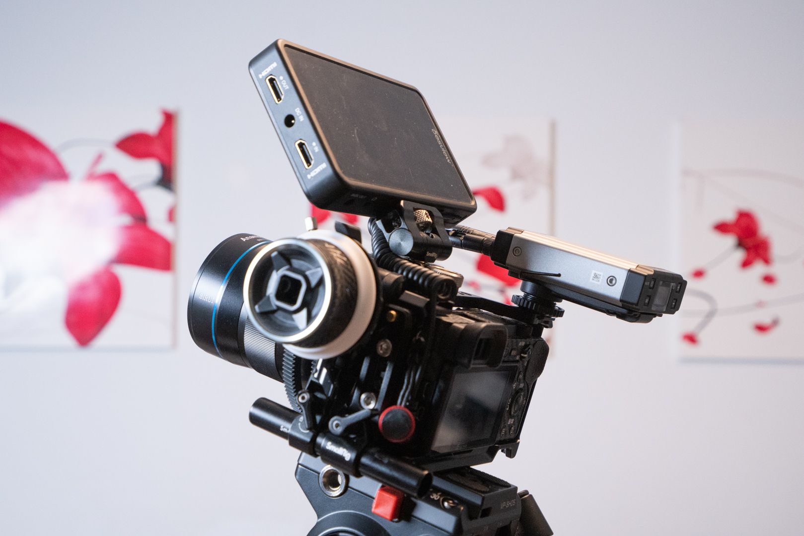 露营|甲方快乐机,花小钱办大事。斯莫格SmallRig兔笼体验