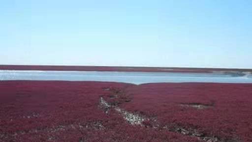 大成殿|一条长达1.8万公里的红色海滩-红海滩国家风景廊道