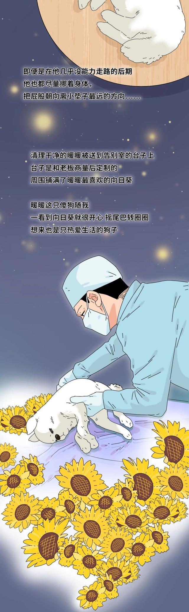 acgn漫评|“它爱了我5年,却被我亲手杀死了!”(漫画)结局感动了一群人