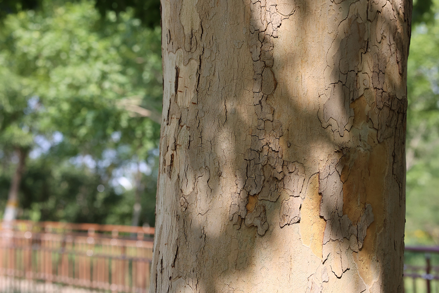 键盘|微距对垒，佳能RF口85微距，对阵尼康Z口50微距，谁表现更好？