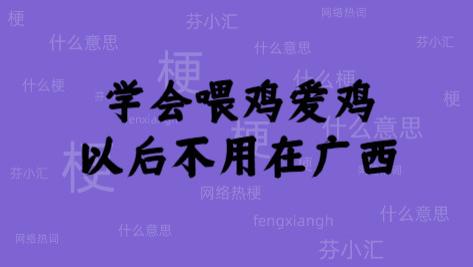 学会喂鸡爱鸡 以后不用在广西是什么意思，什么梗？