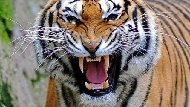 2022年2月18日复盘