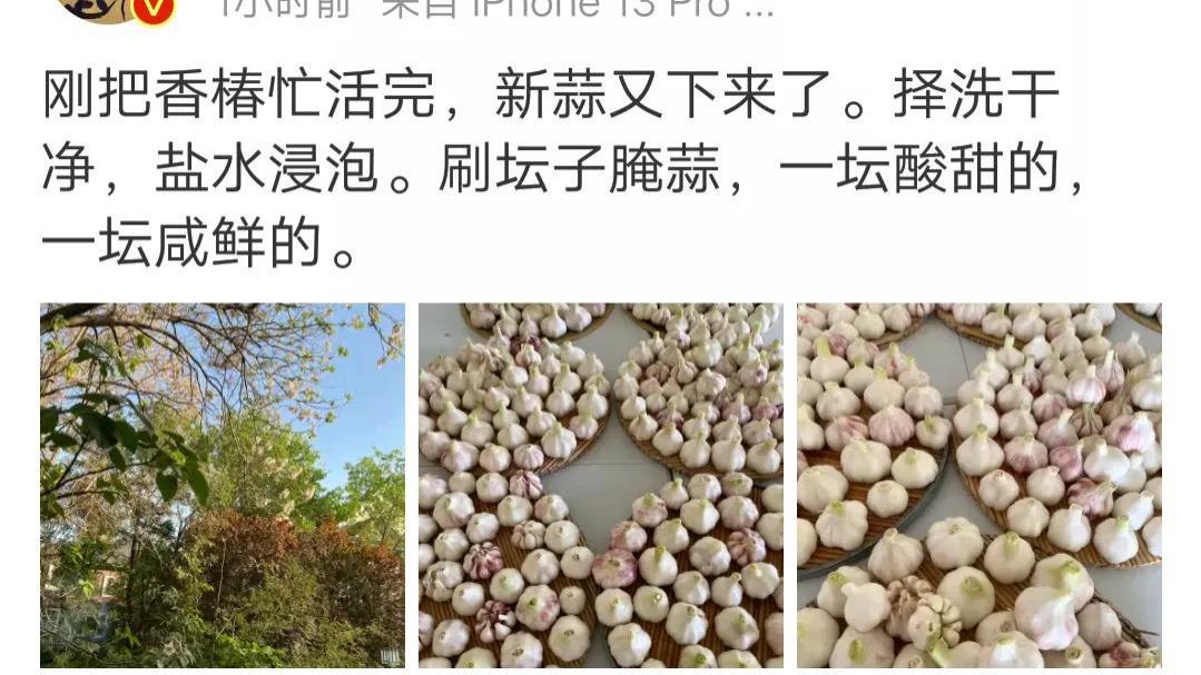 郭德纲|郭德纲亲自刷坛子腌蒜，今年刚下来的新蒜，两坛子分别是不同口味