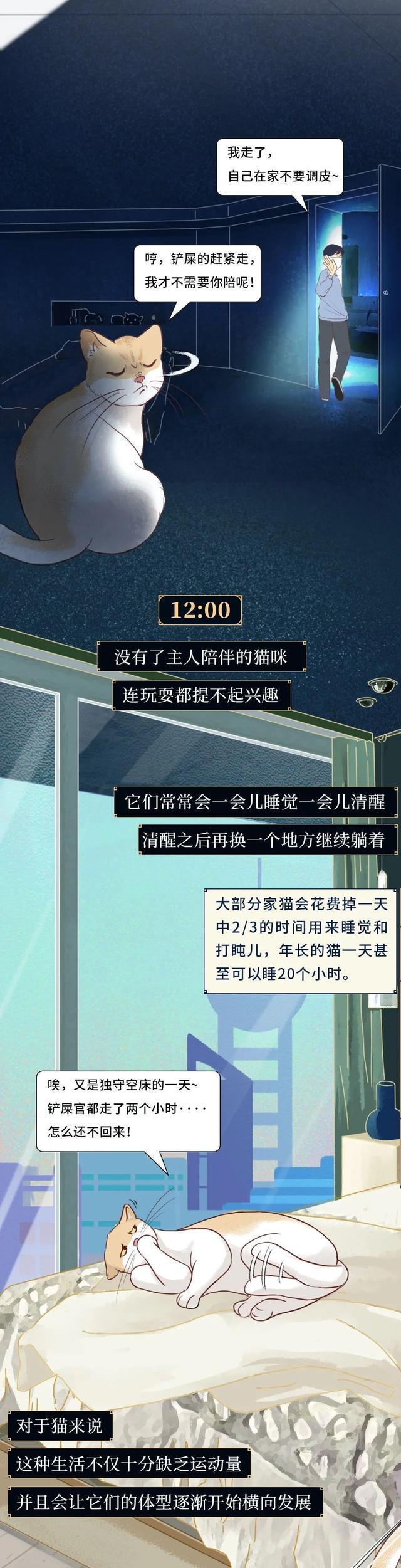 acgn漫评|一只猫在家的24小时:原来会做这些事,看完或颠覆三观(漫画)