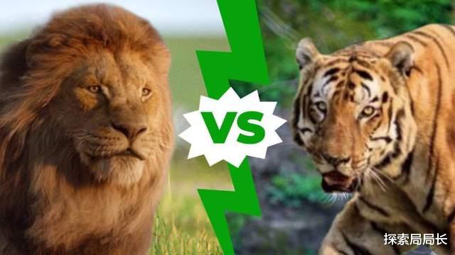 齐娜|狮王辛巴vs凯皇085，如果两者一对一正面硬肛，谁会笑到最后？