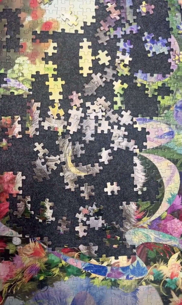 黑胡子|TOI图益动漫故事系列——夏天的浪漫拼图,来看看《夏眠蝉鸣》