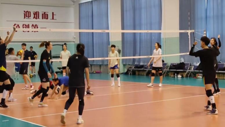 天津女排|天津女排拼了，王宝泉力造新局面，第5号主攻就位，姚迪被取代