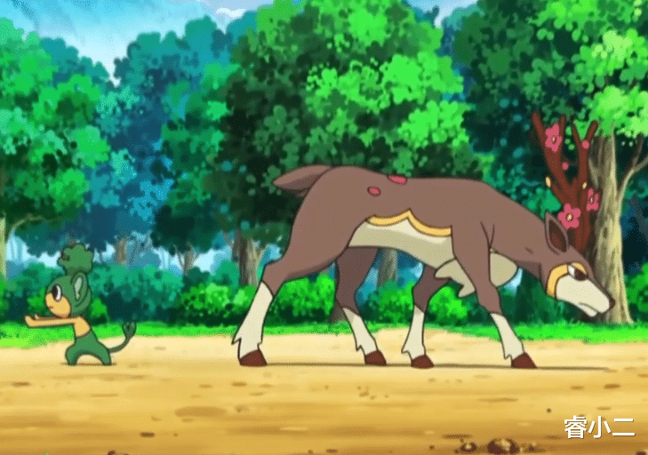 宝可梦|《宝可梦》天桐的酒侍劲敌赤霞珠，在二对二比赛上轻松获胜！