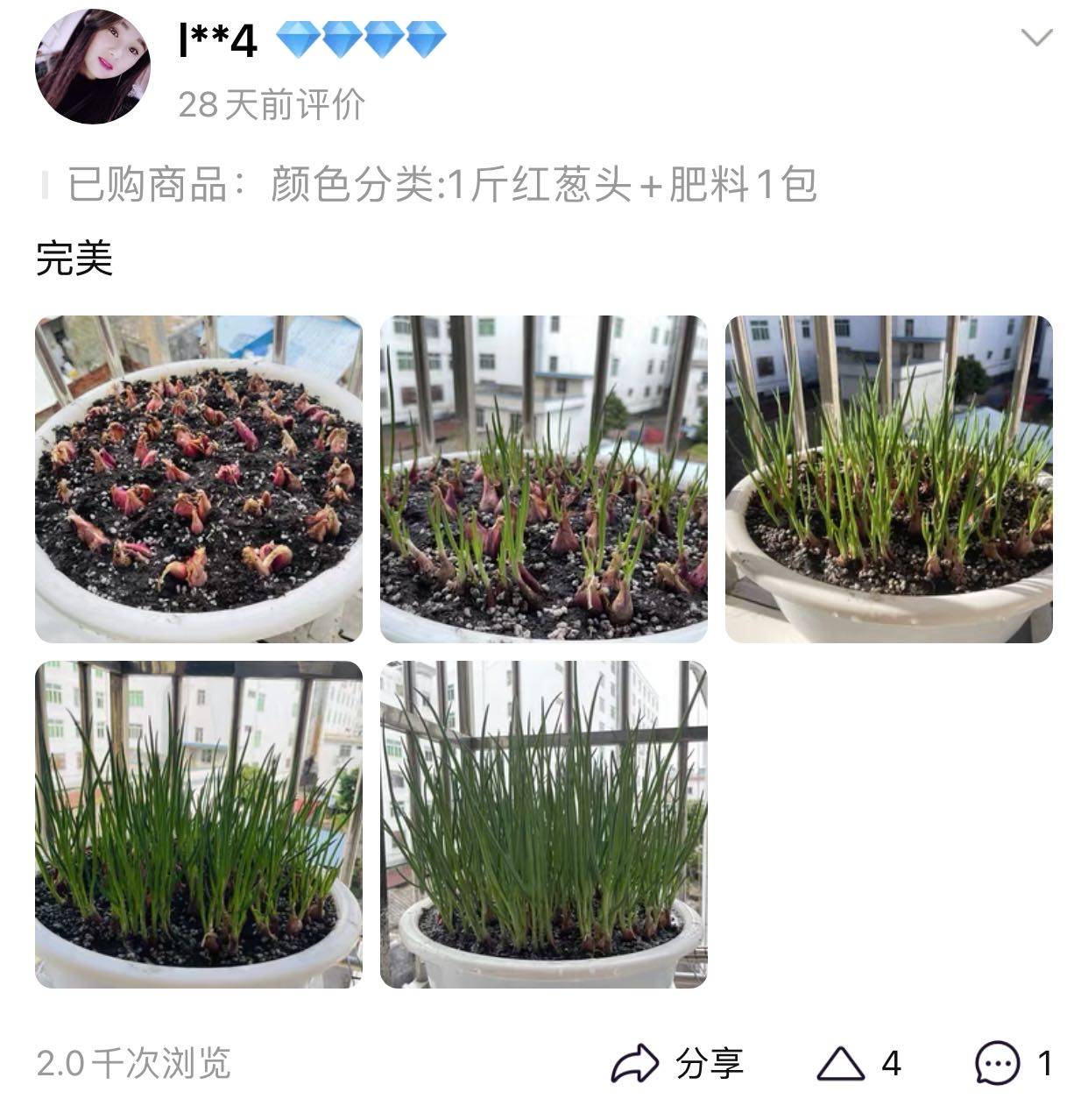蔬菜种子成今春淘宝的黑马爆款，网友：中国人的种菜技能觉醒- 刷刷看小说网